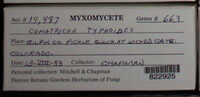 Image Associated With the Occurence